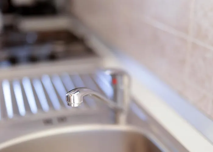 Bernarda Daire Šilo